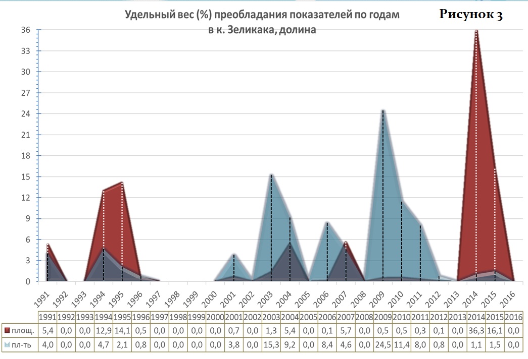 вес показ